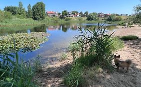 Reumann Holiday Apartments: De Schelp